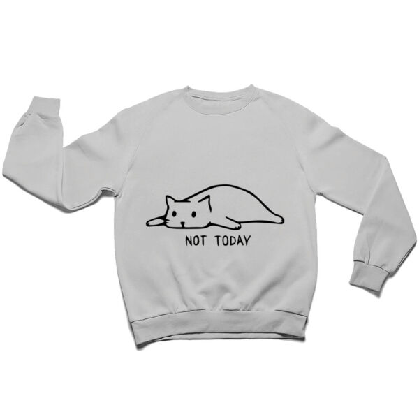 not today cat Thumbnail