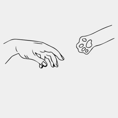 my designs  Thumbnail