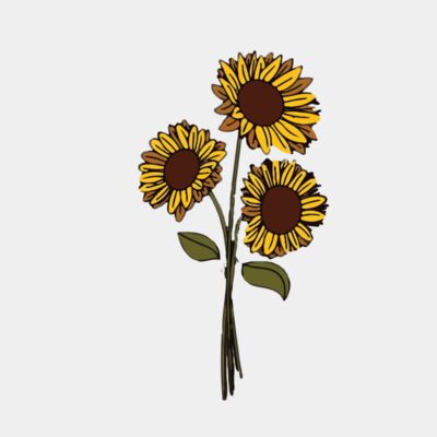 sunflower  Thumbnail